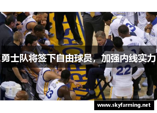 勇士队将签下自由球员，加强内线实力