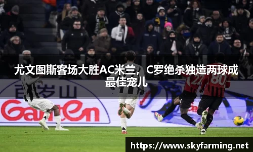 333官网