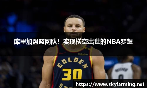 333体育