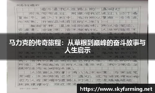333体育
