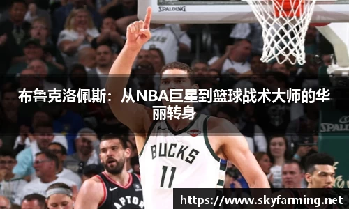333官网