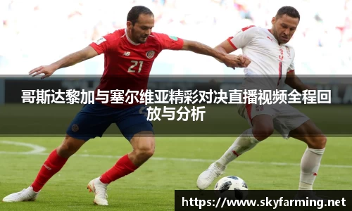 333官网