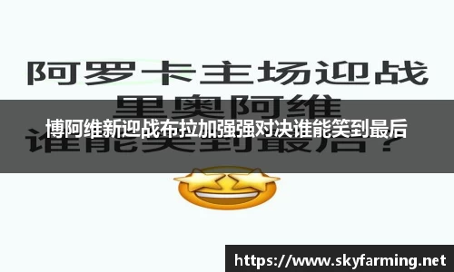 333体育