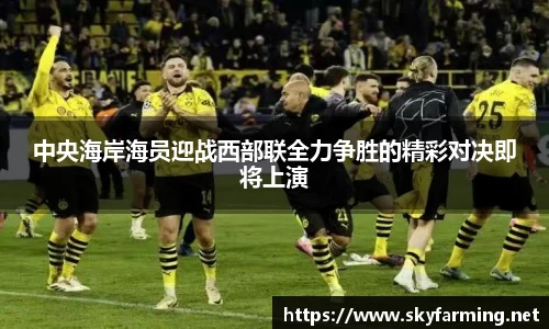 333官网