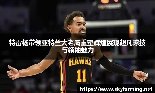 333体育