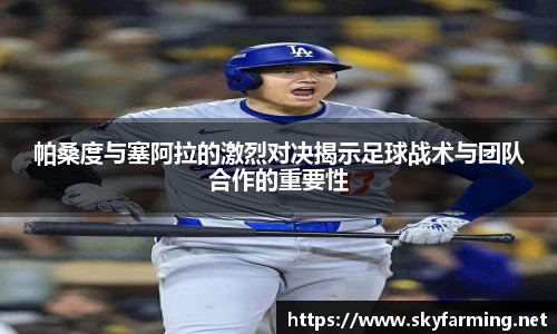 333官网