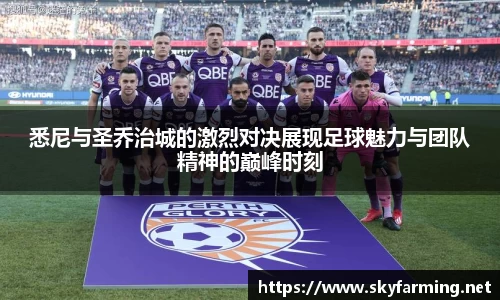 333官网