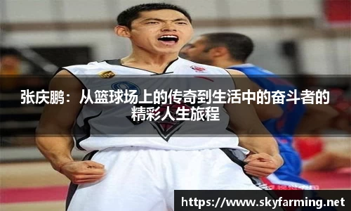 333官网