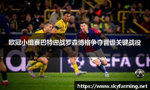 333体育