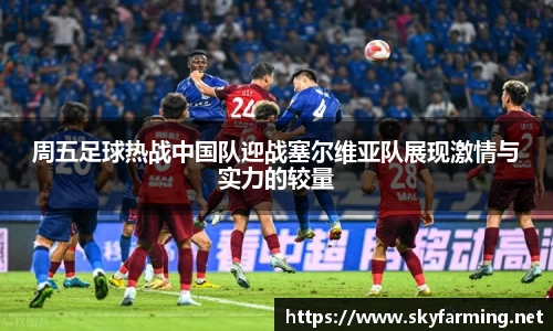 333官网
