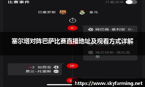 333体育