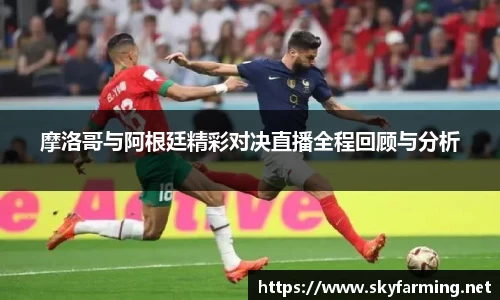 333官网