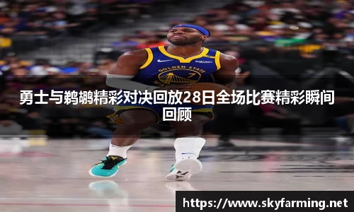 333官网