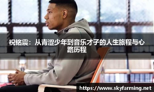 333官网