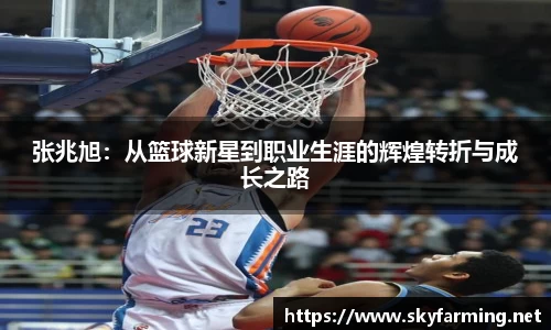 333官网
